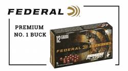 Federal Premium Copper Plated P154 1B 16βολα